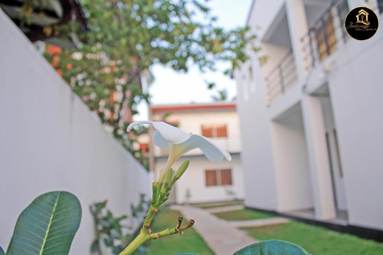 The Anchorage Holiday Apartments - نيجومبو المظهر الخارجي الصورة